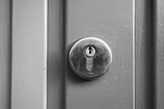 Comment choisir une serrure de sécurité efficace pour votre maison